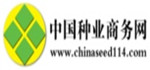 中国种业商务网