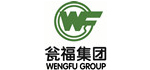 W5G03 瓮福集团
