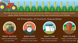 五点对策提高你的肥料利用率