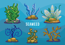 一篇文章带你了解海藻肥的原料、工艺、活性成分和功效机理