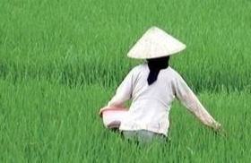越南大力发展有机肥料，践行绿色农业