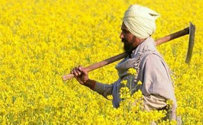 印度肥料产业发展的情况