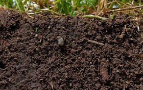 预计2026年全球生物肥料市场规模将达24亿美元