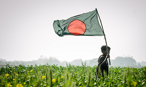 孟加拉招标结果公布，云天化、宜化中标