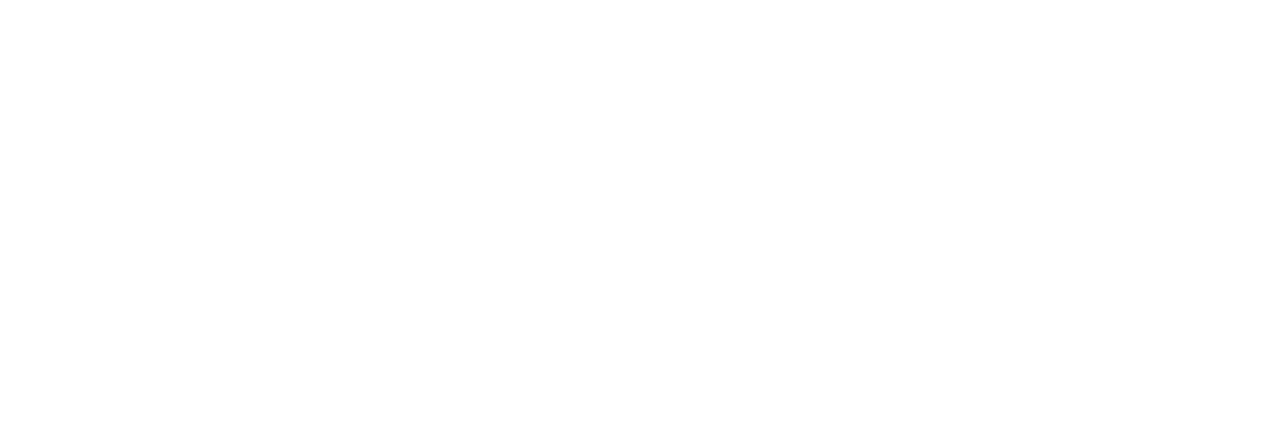 module_logo