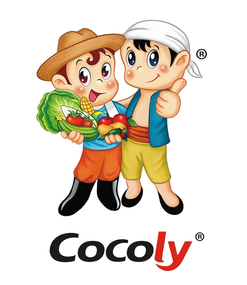 34-12A18-巧棵力COCOLY.webp